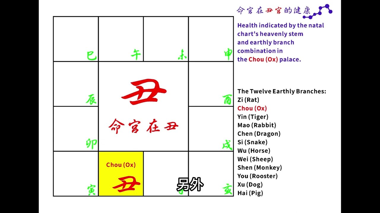 命宮在丑宮的健康(台灣繁體中文字幕)【紫微斗數學習筆記】