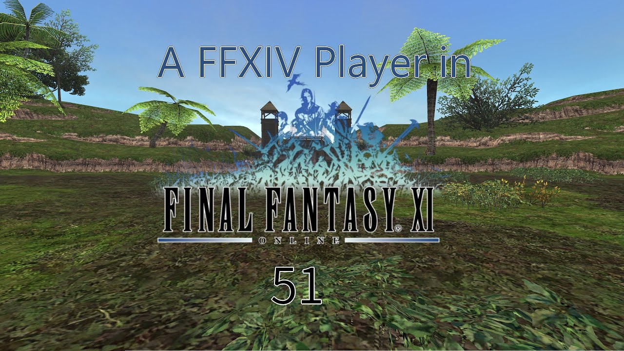 [51] A Final Fantasy XIV player in Final Fantasy XI