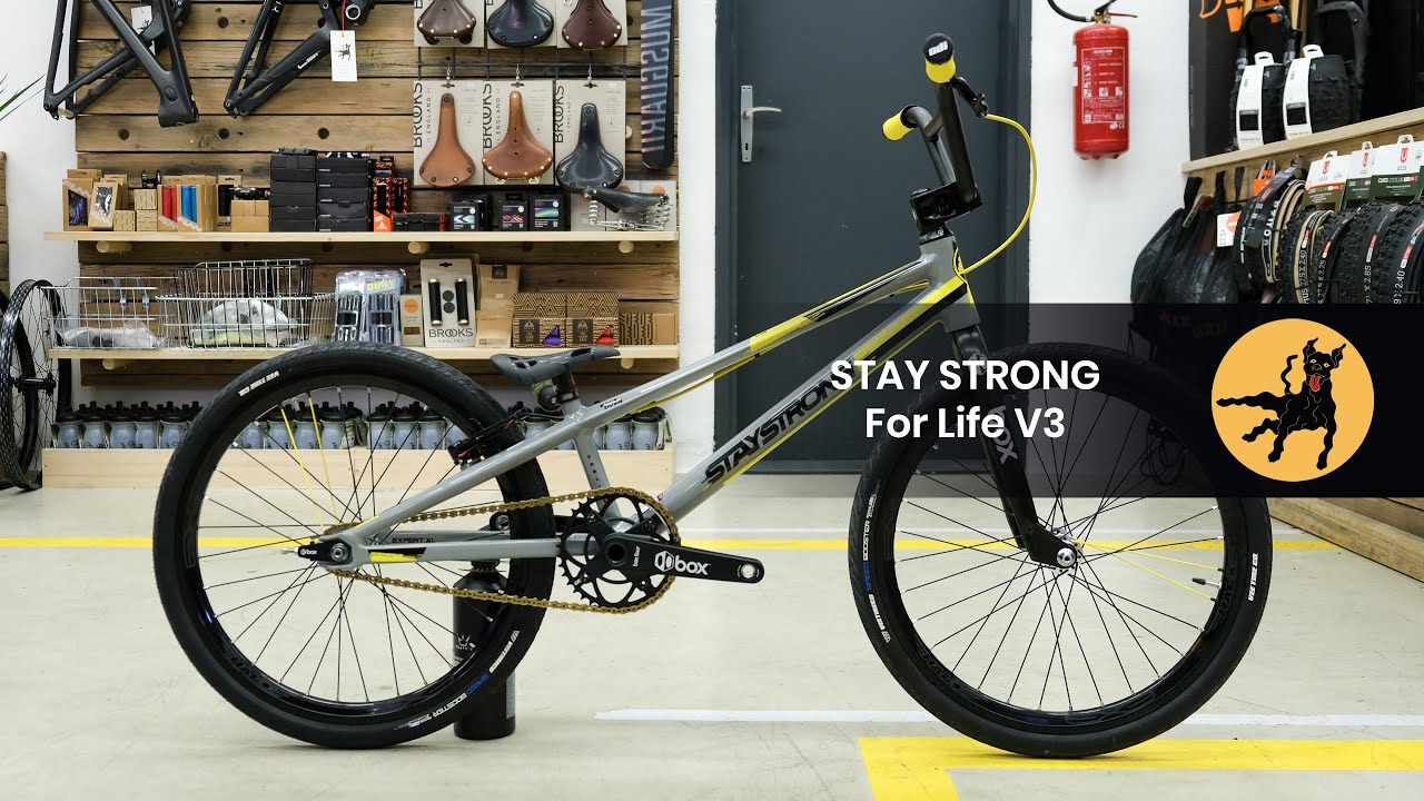 Stay Strong For Fife V3 BMX custom built by Loose Cycles