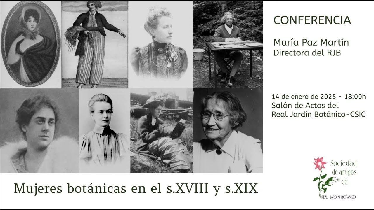 Conferencia 