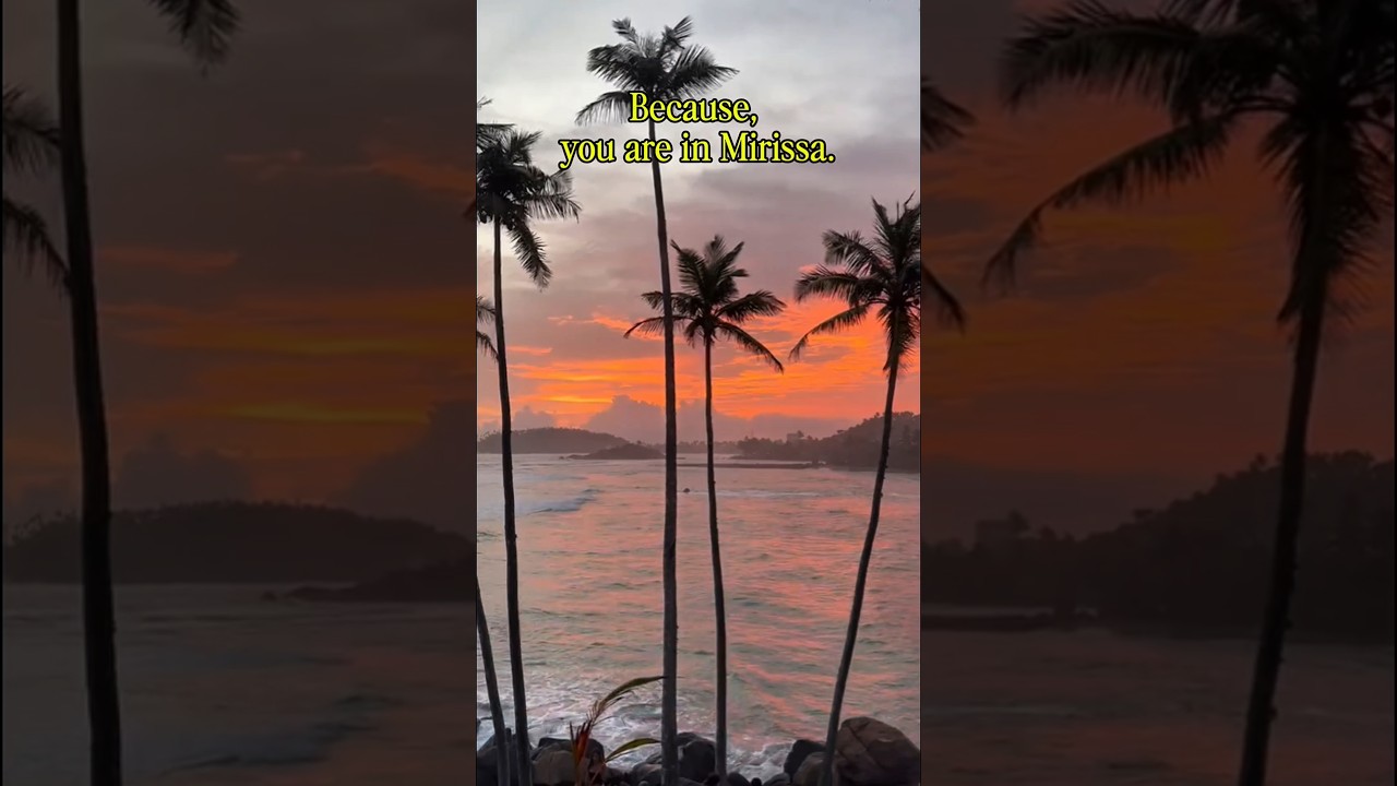 🌴Coconut Tree Hill &ndash; Waves & Palms in Mirissa 🌊☀️