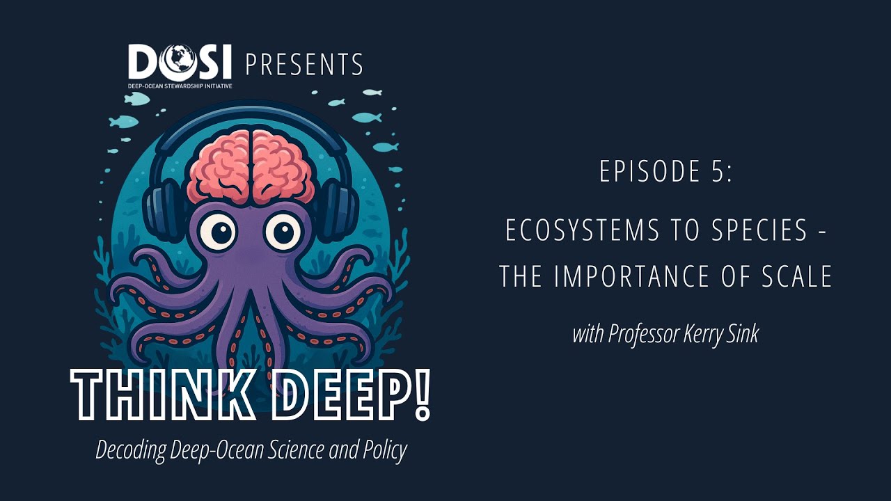 Episode 5: Ecosystems to Species - The Importance of Scale