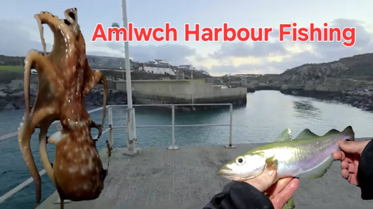 Рыбалка в гавани Амлуч