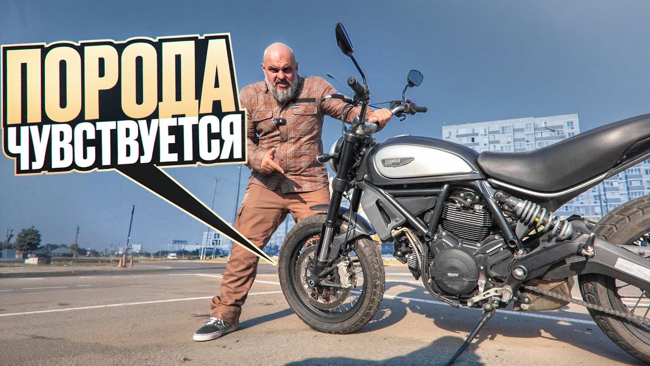 Поражаюсь Ducati Scrambler 800 на улицах Краснодара #МОТОЗОНА №258