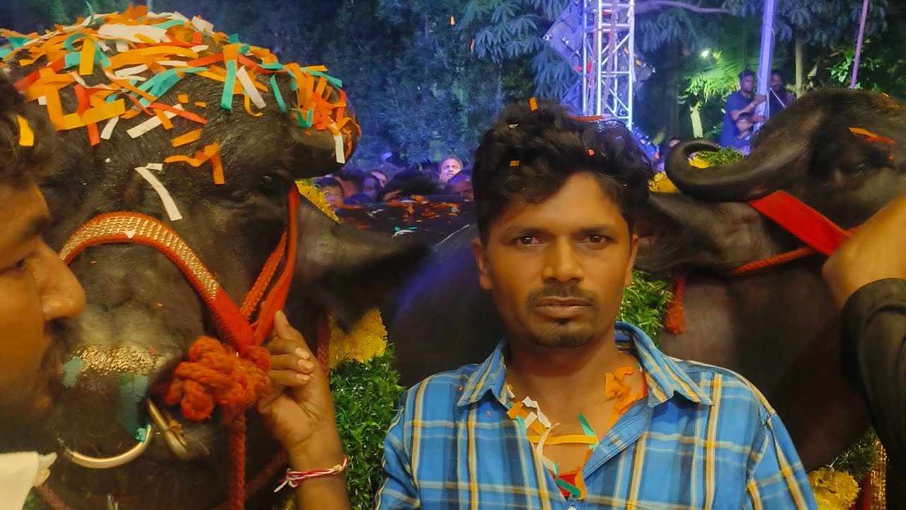 Siddipet sadar sayyata #sadarfestival #yadav #telangana 