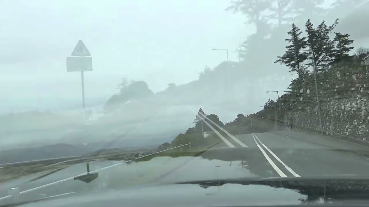 Coast road drive in Wales, I will learn my left from my right and my tulips from my daffodils 🤣