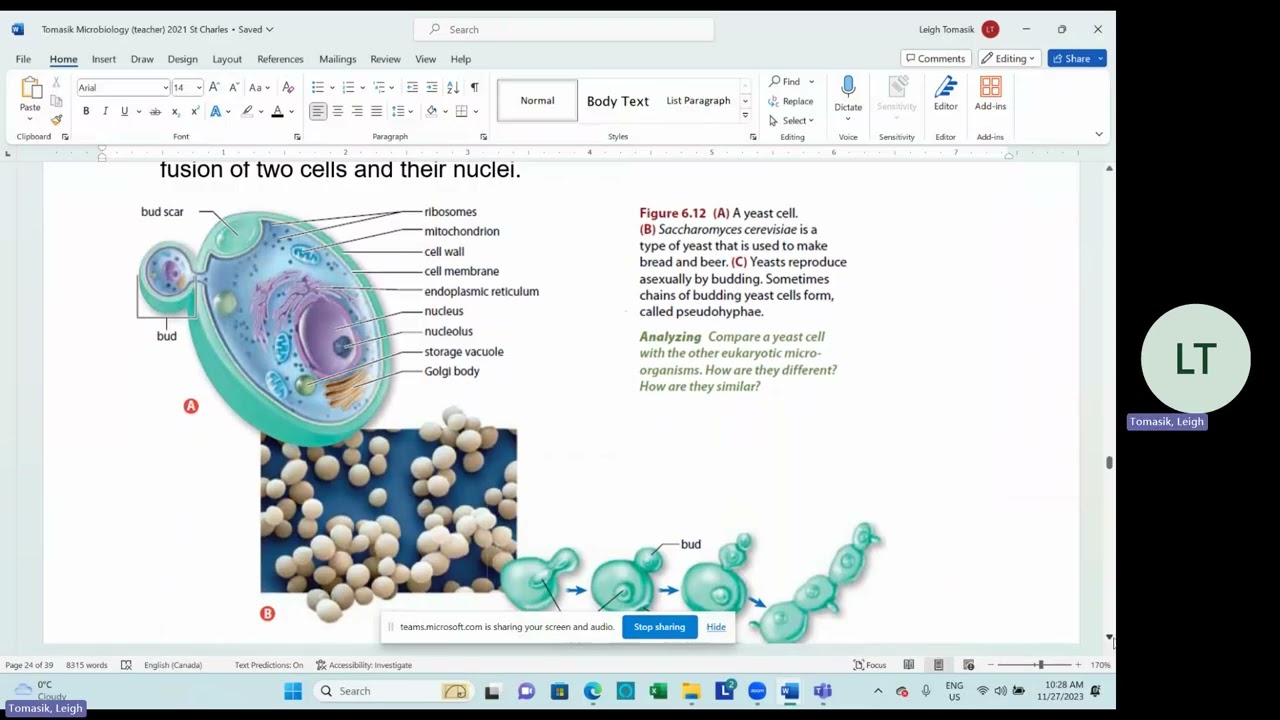 SBI3C Unit 5   Microbiology   Lesson 2B   Fungi