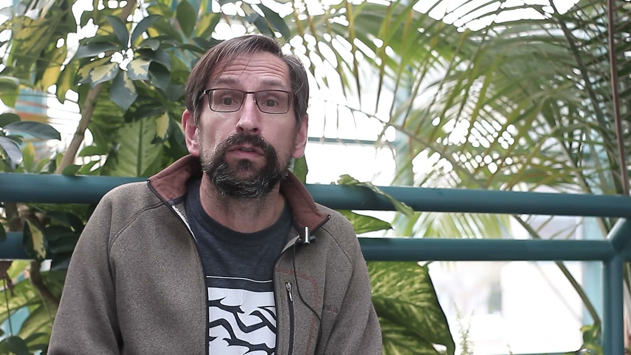 WGSS Electives //  Band