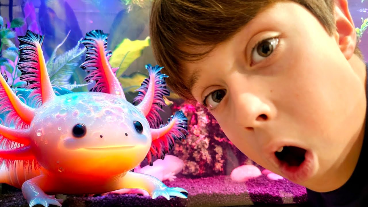 CONSTRUIMOS UN SUPER ACUARIO PARA MI AJOLOTE!!! 🐲 BICHITOS BROS!