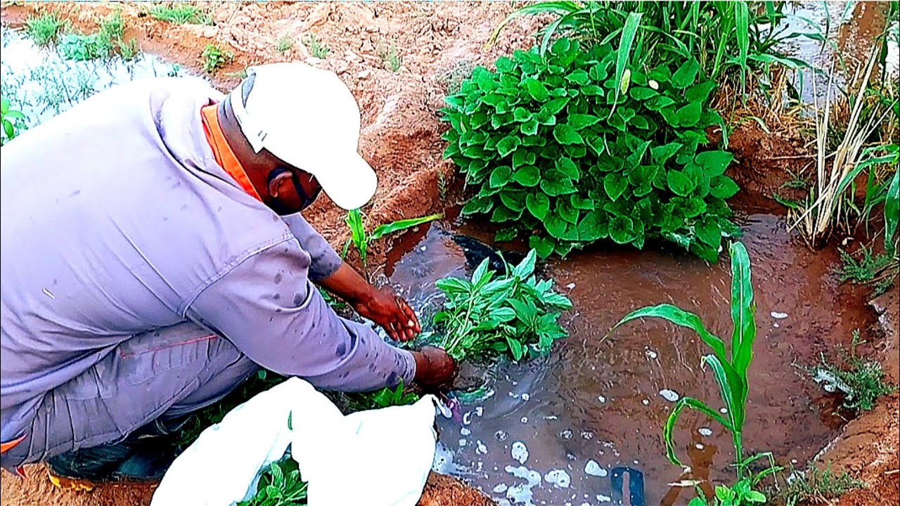 من الفجر للمساء.. يوم الفلاح كما لم تره من قبل! 🌞🚜