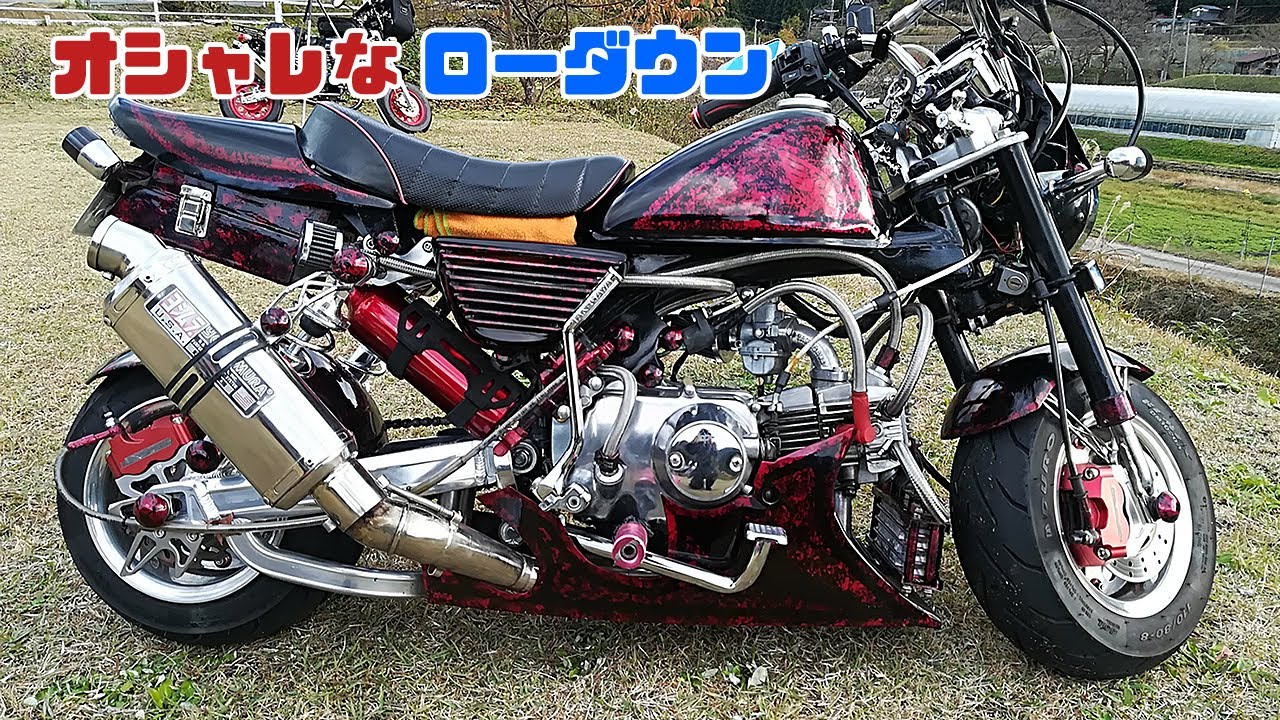 超オシャレなカスタムモンキーがやって来た【大津のモンキーライダー】バイク動画