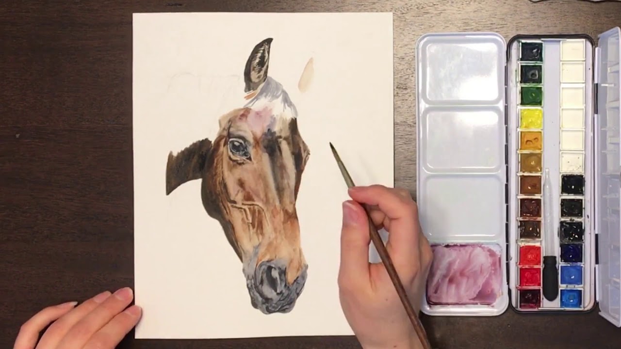 Time-Lapse Watercolor Tutorial: Horse Portrait