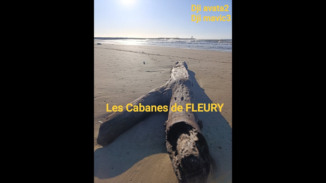 Les Cabanes de FLEURY 4K / Avata2 / Mavic3
