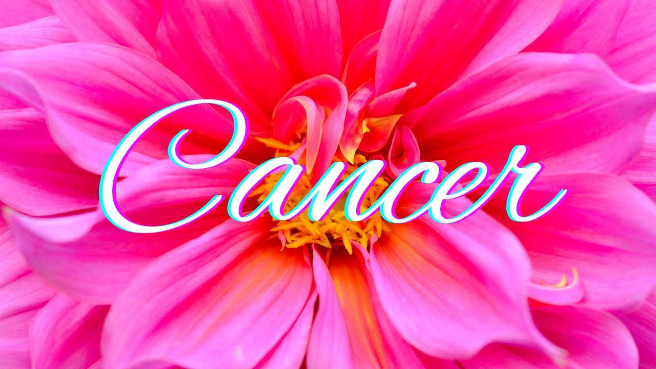 Cancer✨Obessed! They're Ready For A Fresh Start, Cancer✨You Vs. Them