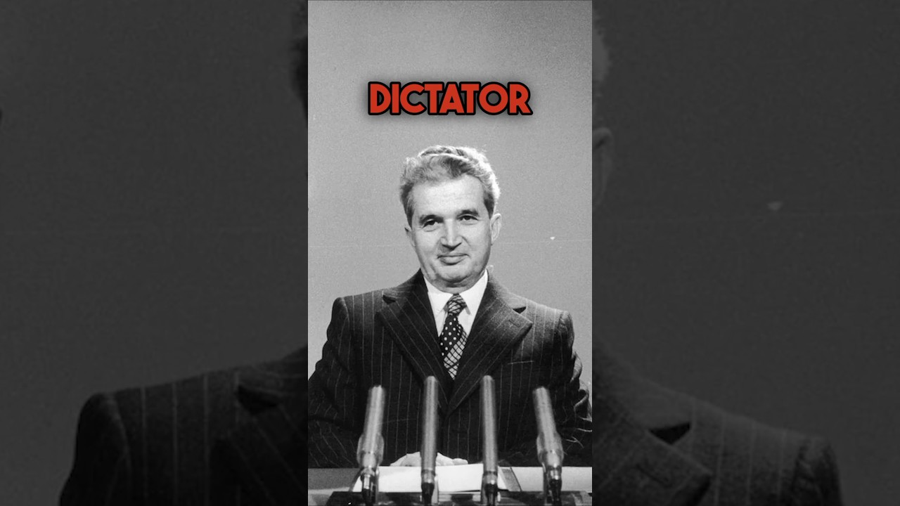 Bibles in communist Romania?! #bible #communism #romania