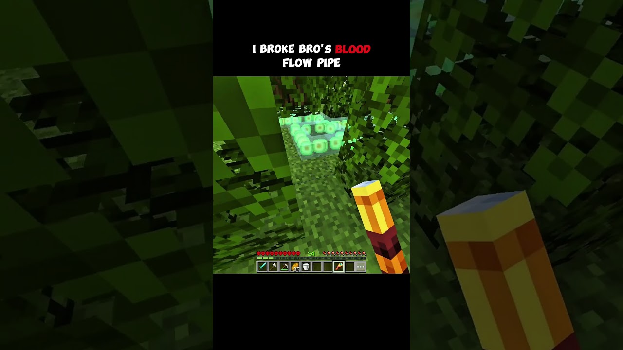 I Broke Bro's Flow Pipe #tweening