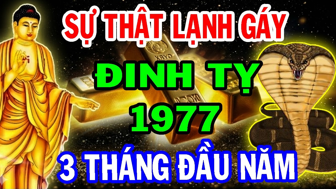 Rõ Như Ban Ngày: Tuổi Đinh Tỵ 1977, 3 Tháng Đầu 2026 Là Bước Ngoặt – Biết Sớm Tránh Họa, Đón Lộc.