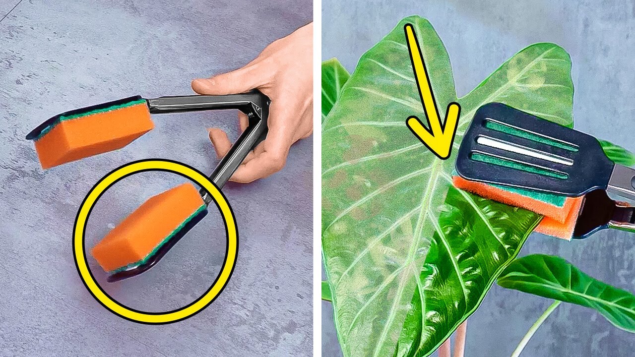 OMG! 🌱 Genius Plant Growing Hacks and Tricks to Transform Your Home Into a Green Oasis