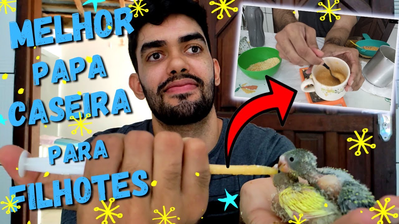 COMO FAZER PAPA CASEIRA PARA FILHOTE DE PÁSSARO [CALOPSITA, PERIQUITO, AGAPORNE, ETC]