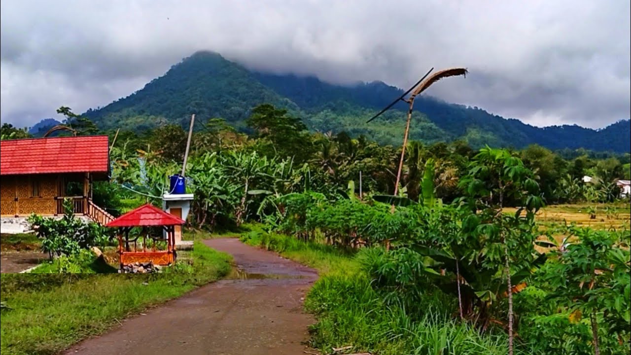 PAS BANGET VIEW-NYA !! VILLA DENGAN  PEMANDANGAN ALAM COCOK BUAT SANTAI NGOPI, PELOSOK PEDESAAN