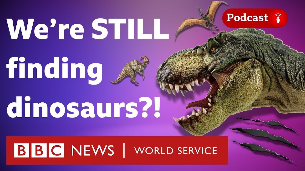Why dinosaurs are being found every week - What in the World podcast, BBC World Service