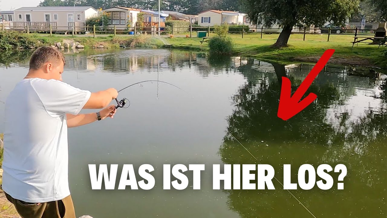 Kleiner Teich große Überraschung!