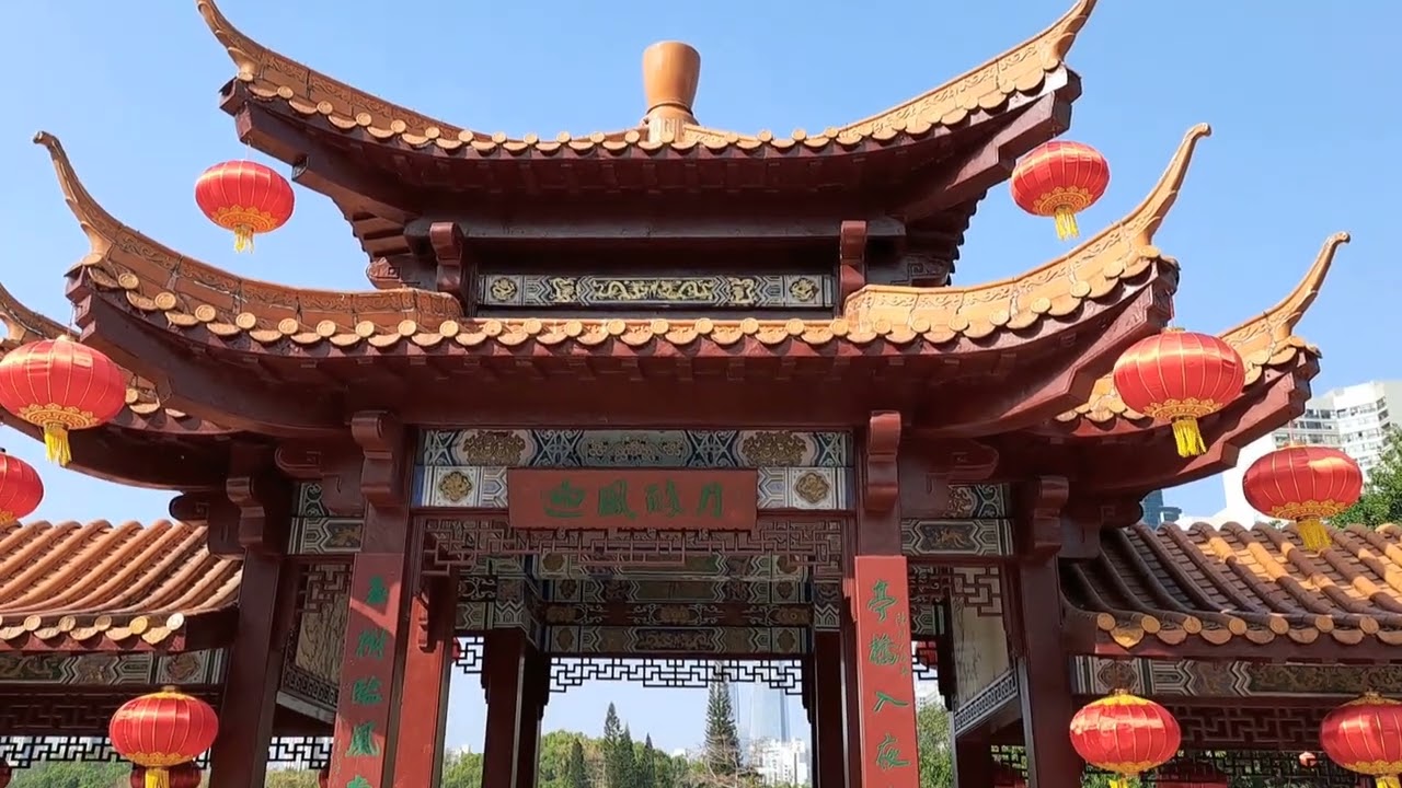 深圳中心公園｜荔枝公園｜梅園｜梅花｜深圳一日遊｜福田口岸｜深圳好去處｜大灣區旅遊｜北上消費｜攻略｜免費入場｜琴小站｜免費租琴房｜Shenzhen｜Lychee Park｜廣東話｜鋼琴｜紅岭站｜華新站