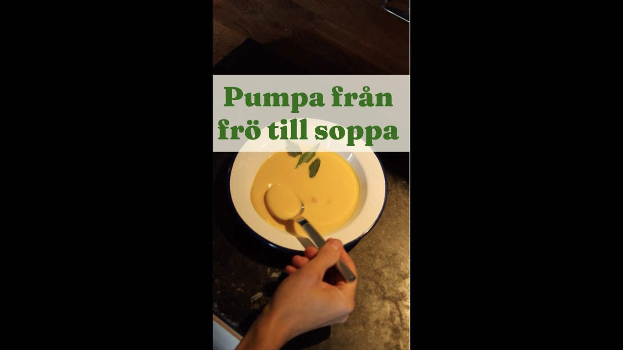 Pumpa från frö till soppa Pumpkin seed to soup - Trädgårdshacks med GardenR