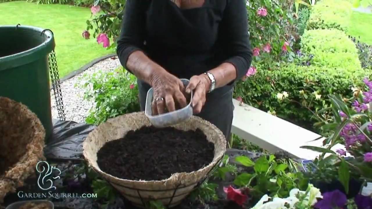 Hanging Baskets - Advanced (Red, White, Blue)