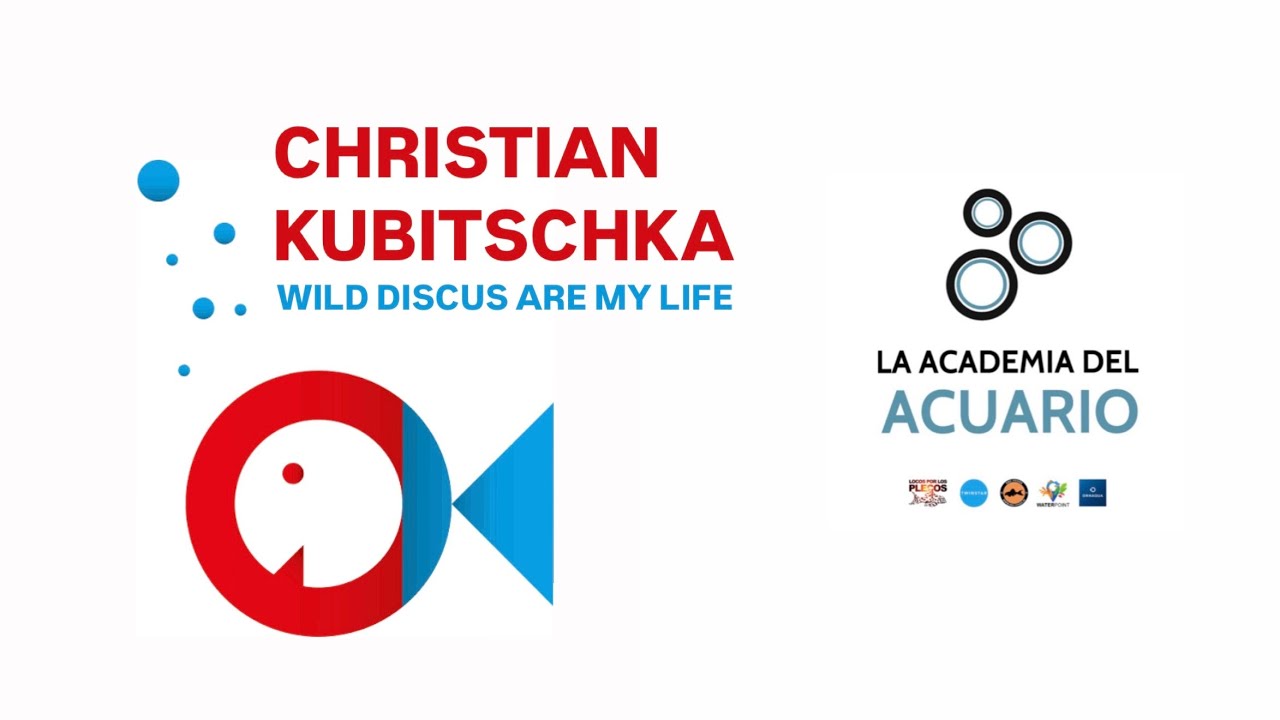 CHRISTIAN KUBITSCHKA. Wild discus are my life.