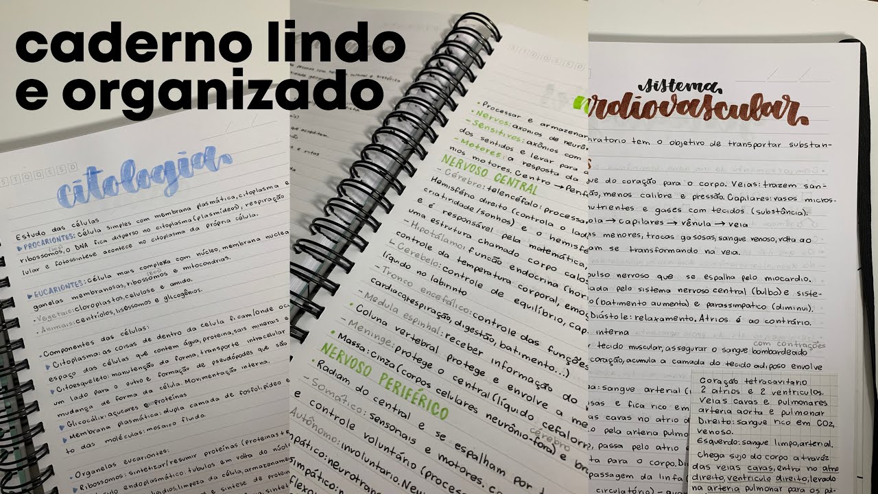 TENHA UM CADERNO BONITO E ORGANIZADO EM 2025