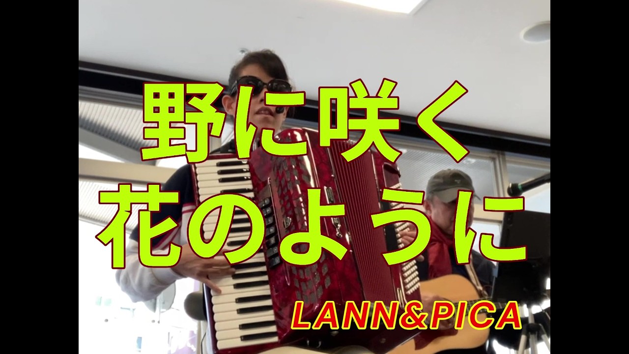ダ・カーポさんの　野に咲く花のように　ラン＆ピカ(386)