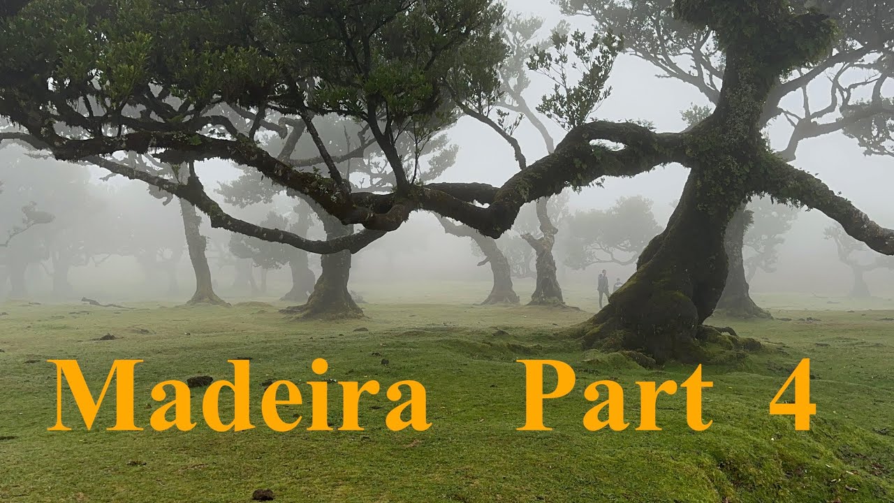 MADEIRA  December Part 4