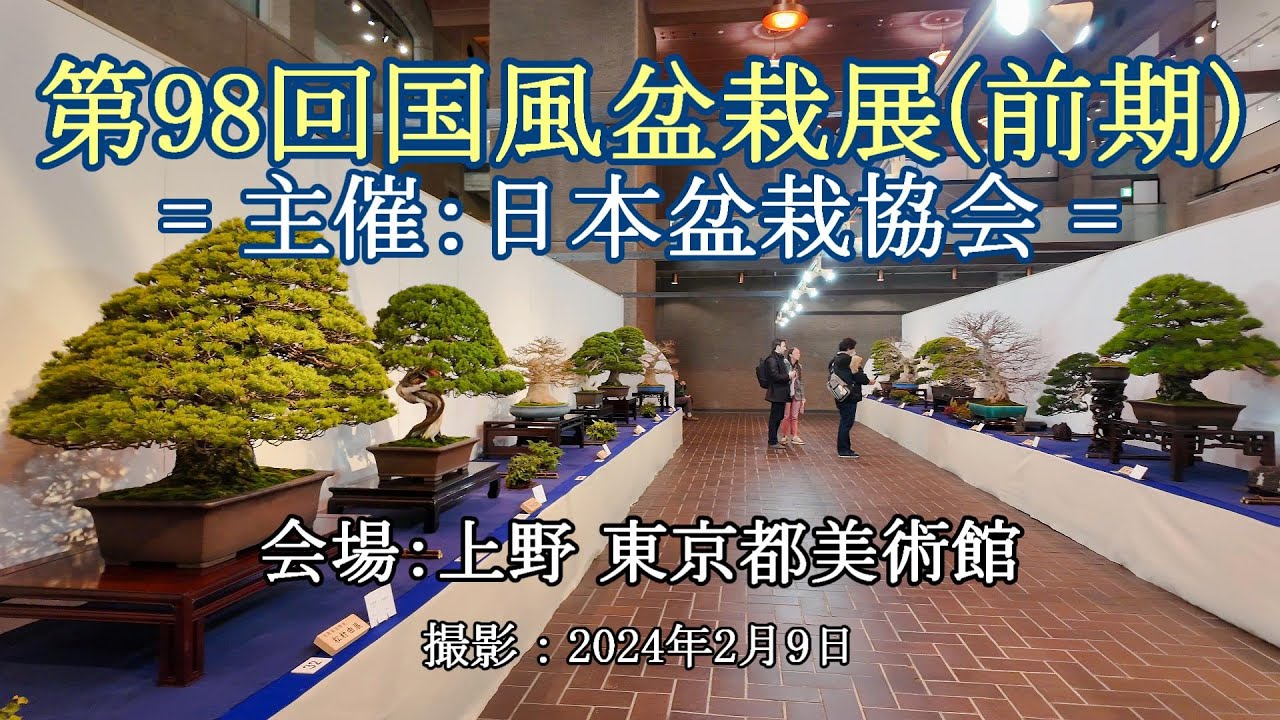 第98回国風盆栽展(前期) = 主催：日本盆栽協会 = [4K] The 98th Kokufu Bonsai Exhibition (Part1)