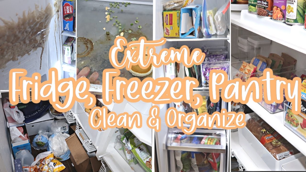 FRIDGE FREEZER AND PANTRY DEEP CLEAN / PANTRY CLEAN AND ORGANIZE