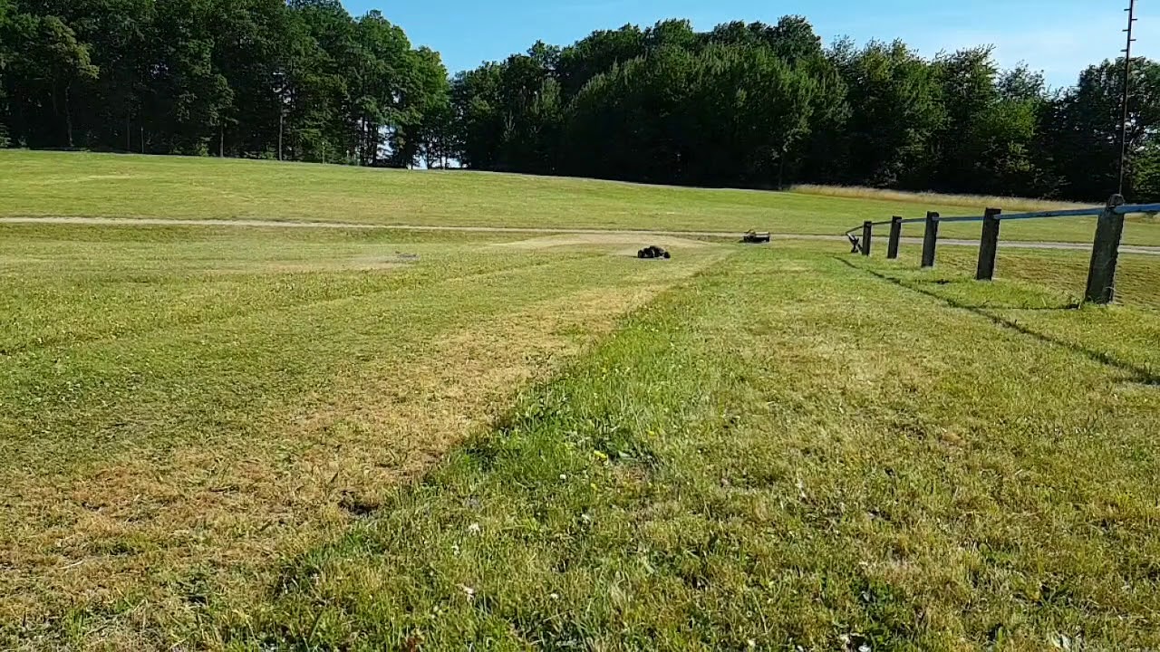 Arrma nero big rock vs hobbytech bxrs1 sur piste.