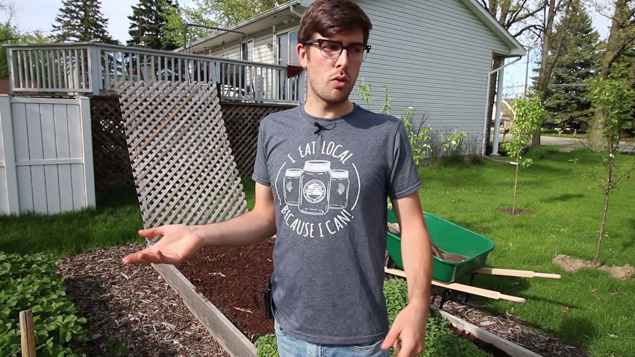 Why Crop Rotation Isn’t Necessary For Home Gardeners
