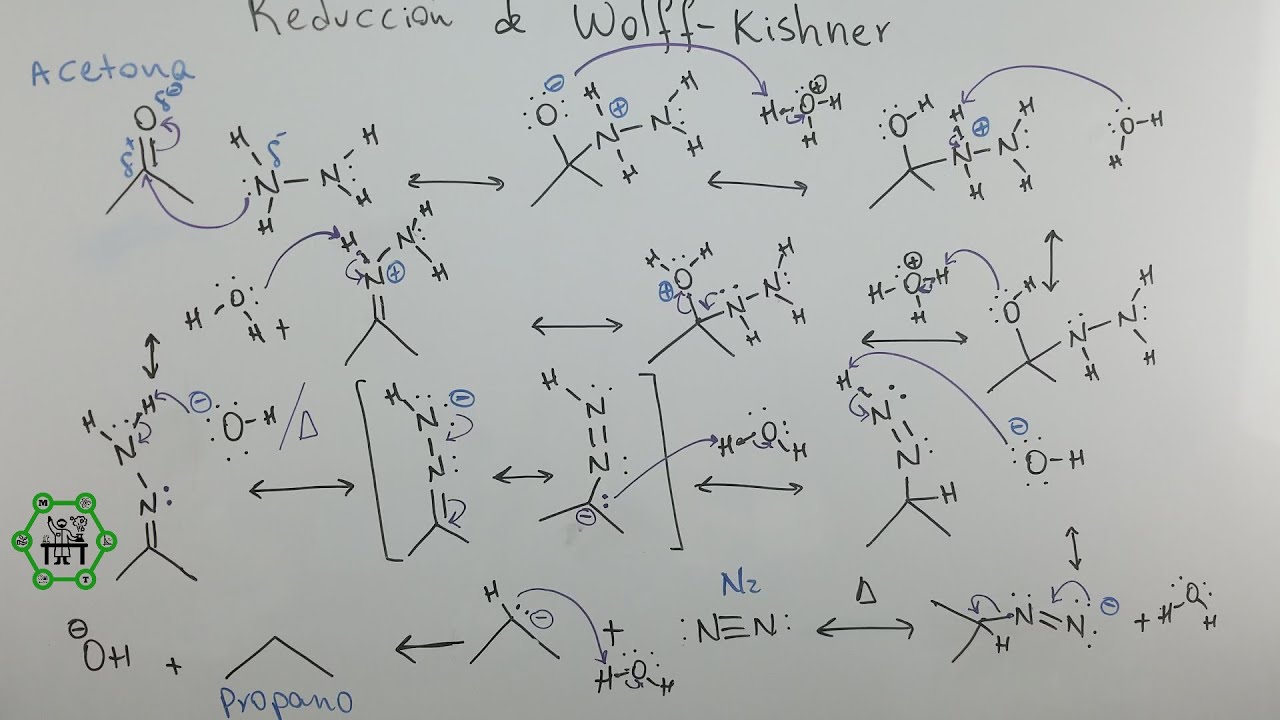 Reducción de Wolff-Kishner | Reducción de Aldehídos y Cetonas Hasta Alcanos