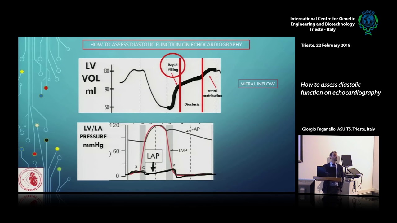 G. Faganello - How to assess diastolic function on echocardiography