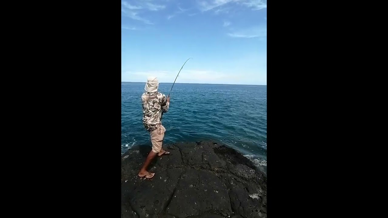 Bluefin Trevally from the rocks!