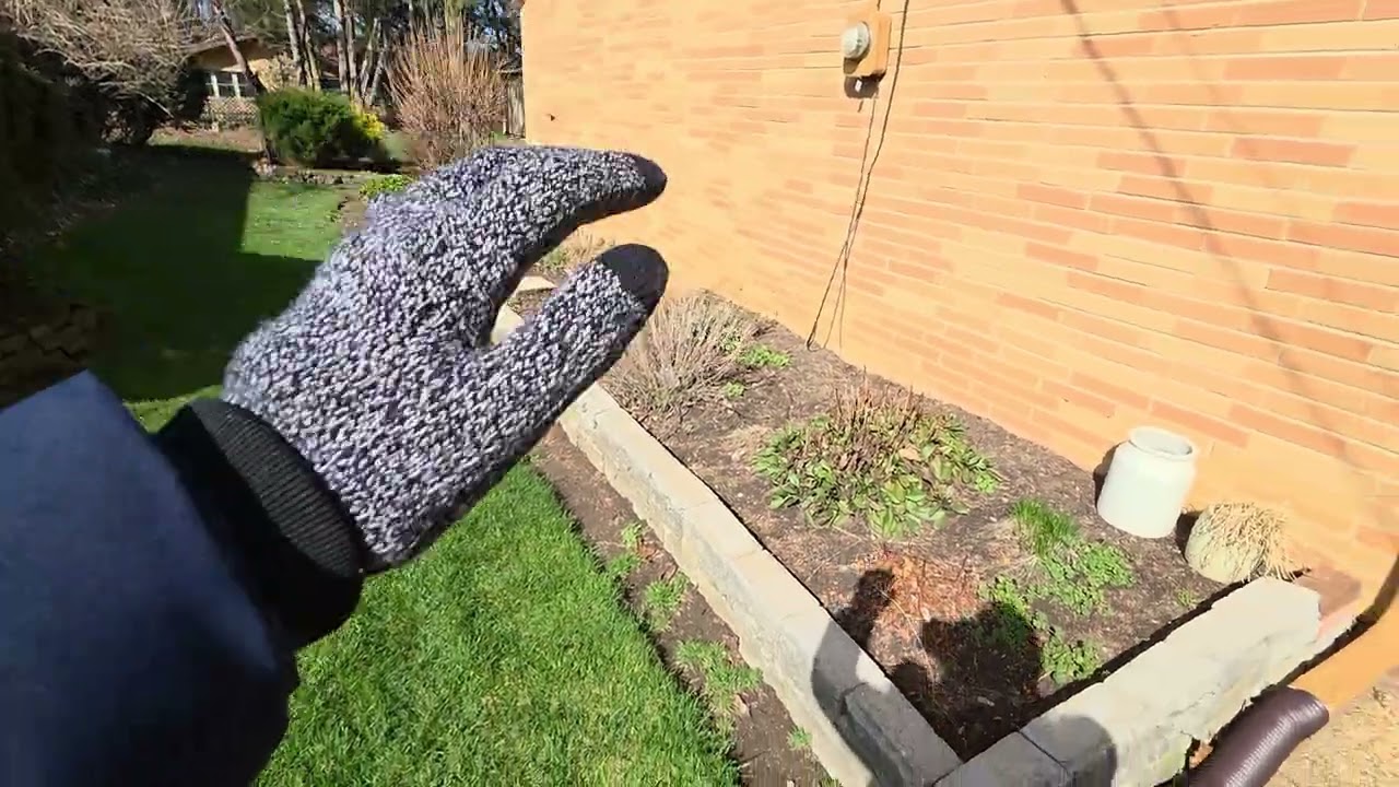 Patrzalek-landcsape bed removal 