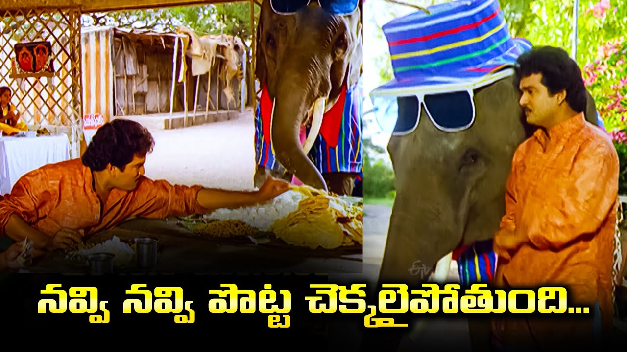 నవ్వి నవ్వి పొట్ట చెక్కలైపోతుంది😂😂😂... | Elephant Comedy | ETV
