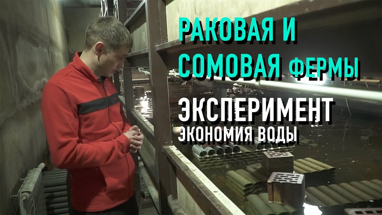 Большой выпуск: Раковая ферма, Сомовая ферма и эксперименты с оборудованием.