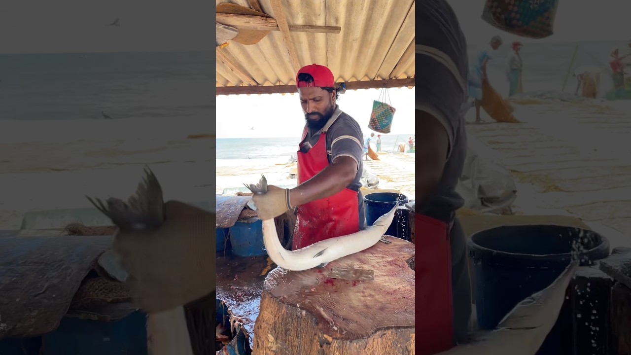 Unbelievable Needle Fish Slicing Skills! 🤯 Fastest Gar Fish Cutting Mastery #cuttingskills #shorts
