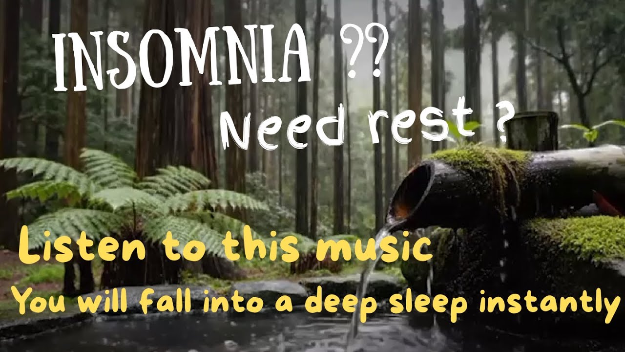 🔴 LIVE : Peaceful Forest Water Ambience + Relaxing Music for Rest