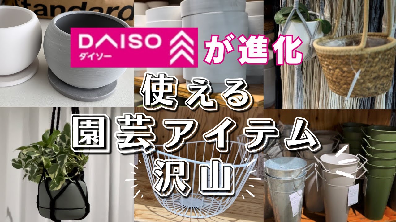 100均ダイソーの新ブランドがすごい！使えるガーデニング用品紹介Standard Products【 園芸 / 観葉植物 】