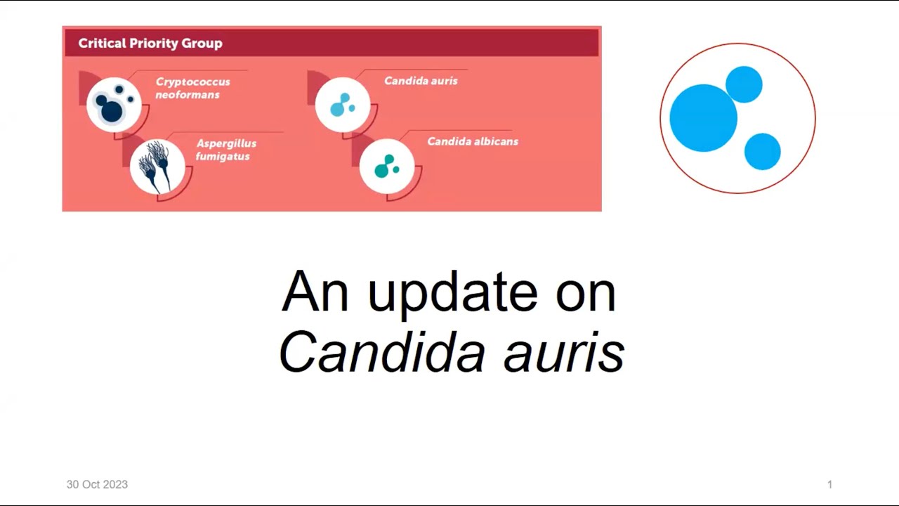 Candida auris - Nelesh Govender
