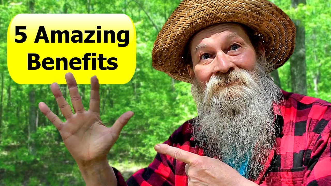 Five Amazing Benefits for Simple Country Living