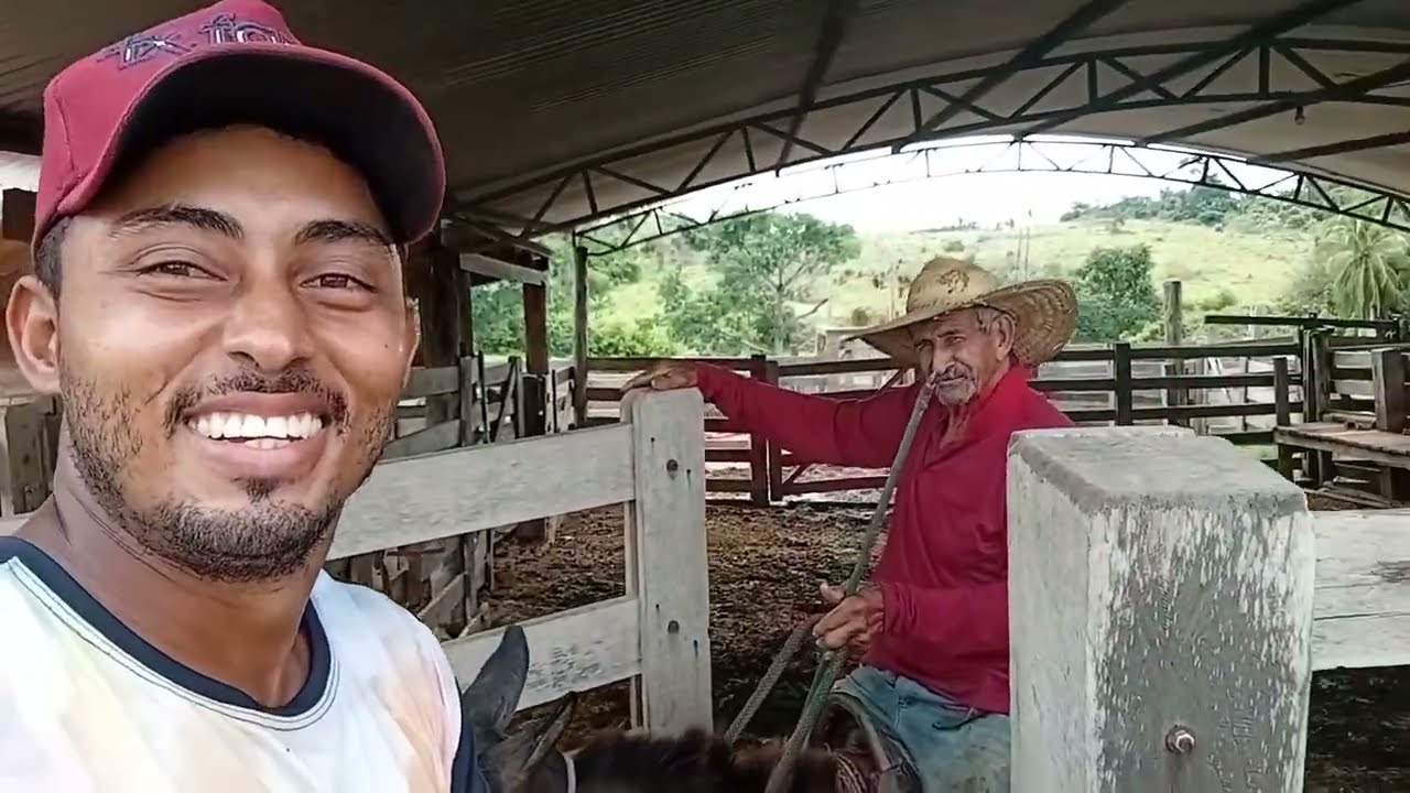 Ajudado o vizinho a mexer com gado 