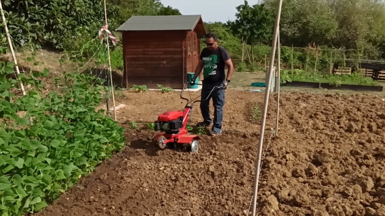 Einhell motozappa 2560 da orto dì Jagjit